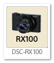 RX100 「DSC-RX100」