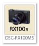 RX100V 「DSC-RX100M5」 デジタルカメラ サイバーショット