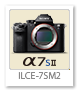 α7SII 「ILCE-7SM2」