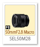 FE 50mm F2.8 Macro 「SEL50M28」